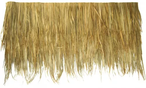 Palmendach von Palmen 24 Palmendach von Palmen 24