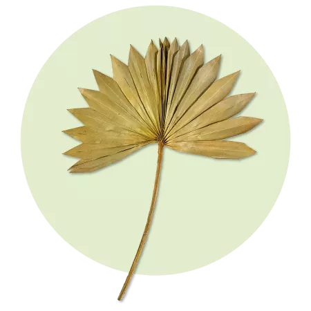 Mini palm leaf